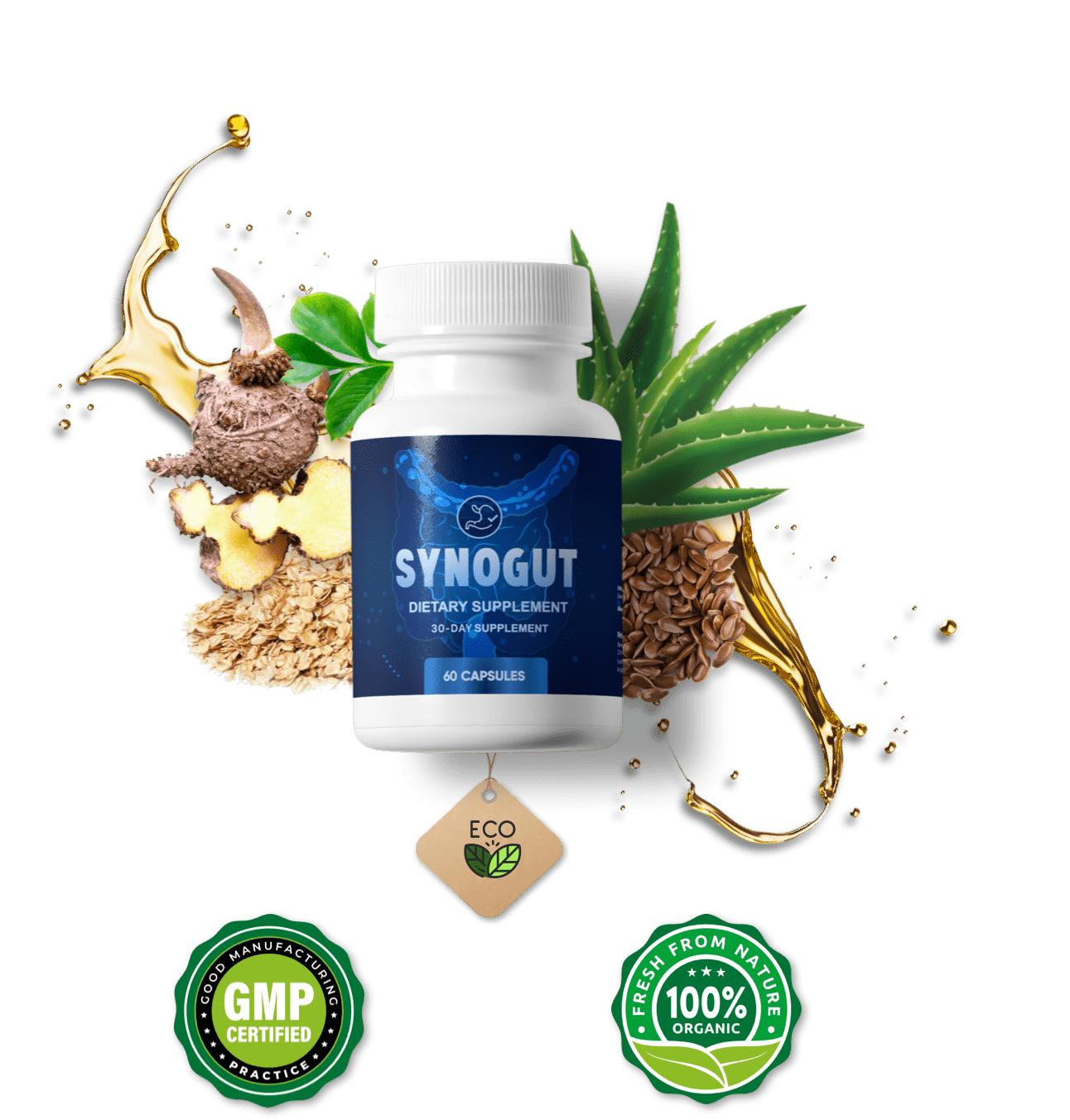 SynoGut